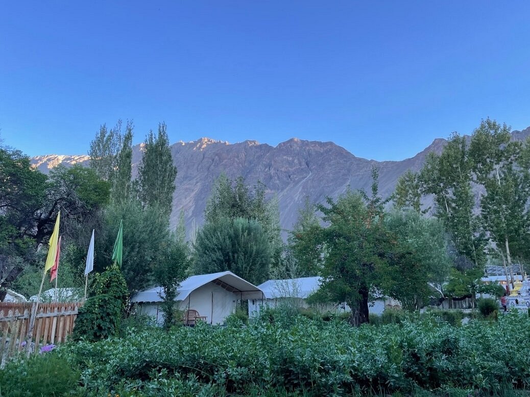 Apple Nubra Cottage view