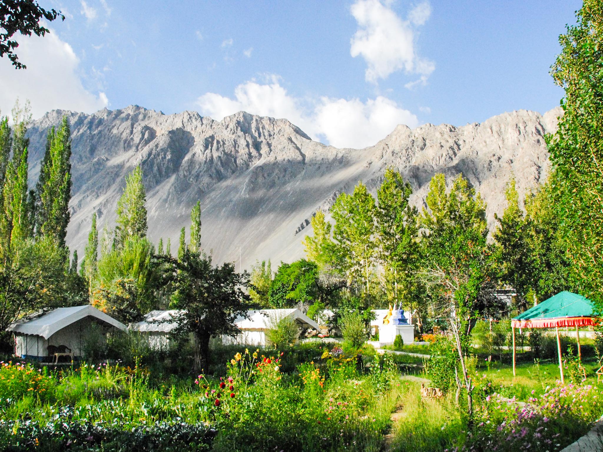 Apple Nubra Cottage - Luxury Swiss Tents in Hunder, Nubra Valley
