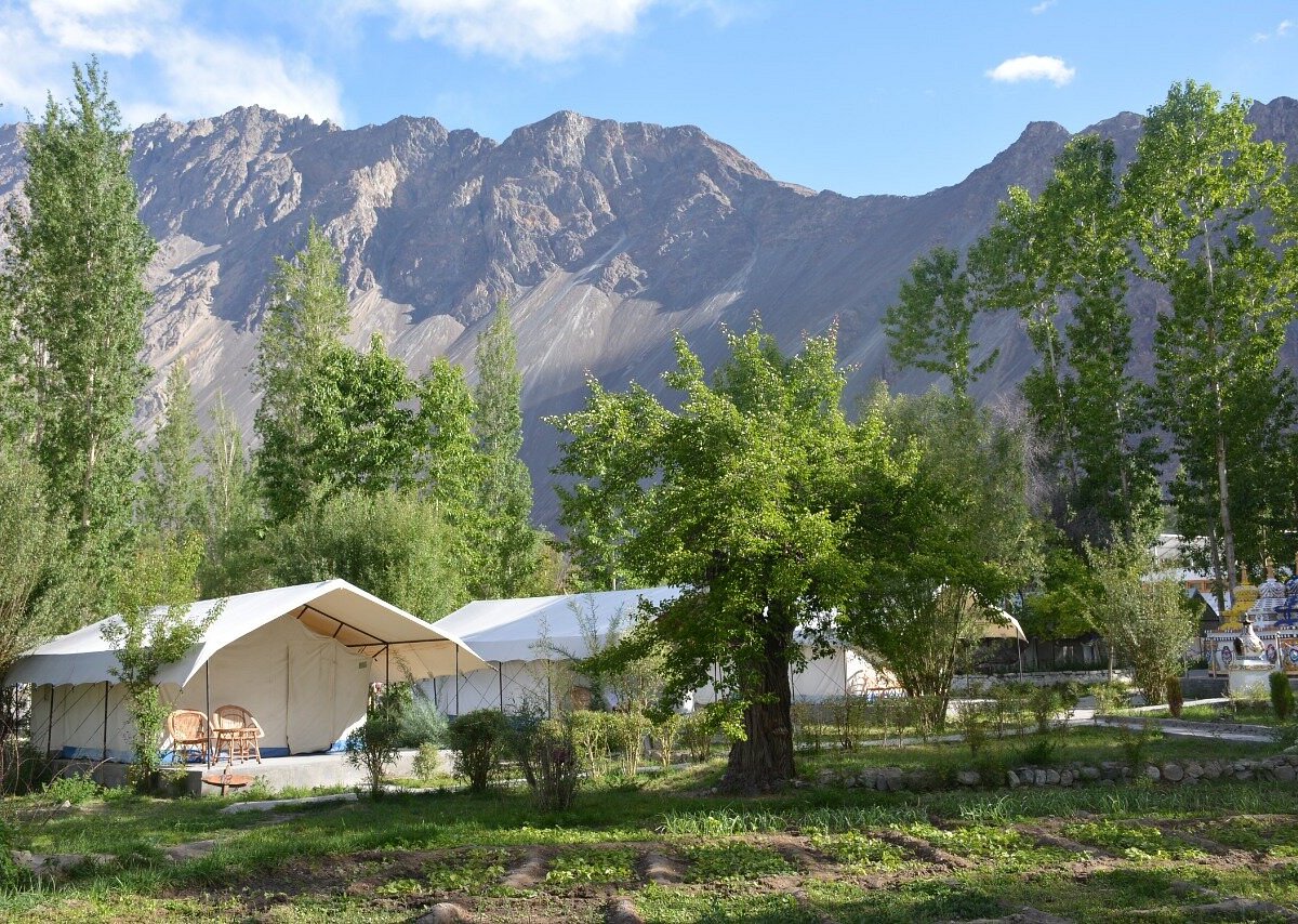 Apple Nubra Cottage - Swiss Tents in Nubra Valley