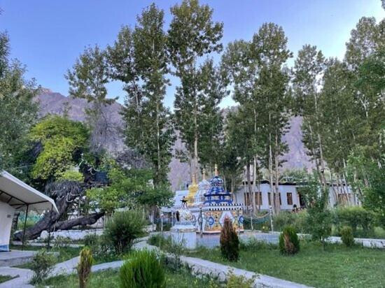 Apple Nubra Cottage - Tent Night View