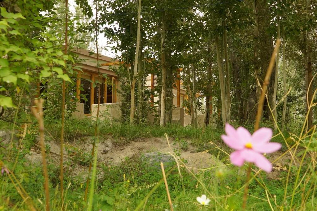 Apple Nubra Resort - Sunset View