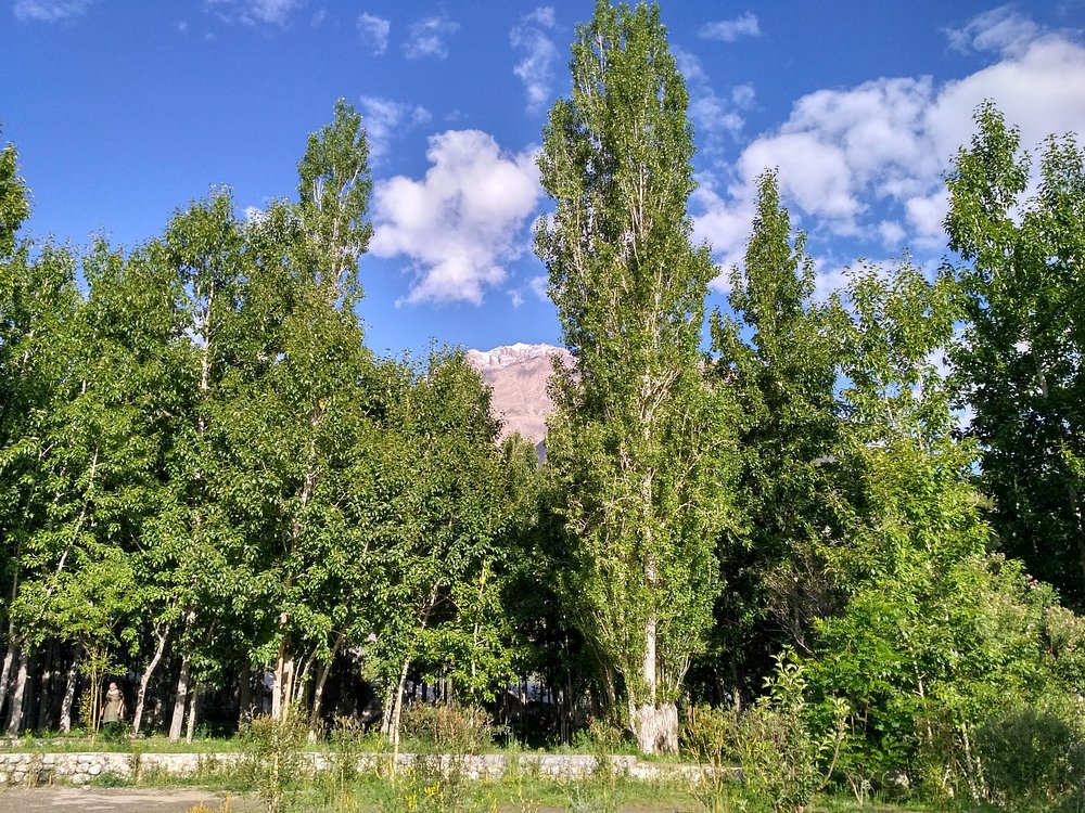 Apple Nubra Gallery - Hunder Village