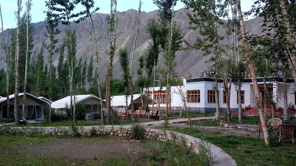 Apple Nubra Gallery - Nubra Valley
