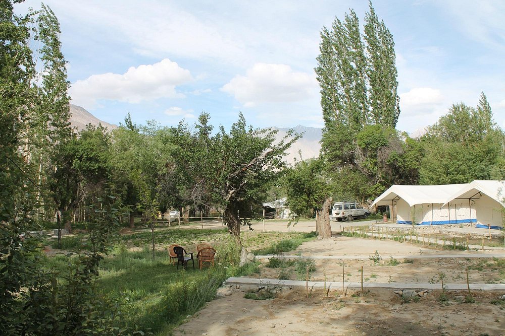 Apple Nubra Gallery - Swiss Tents