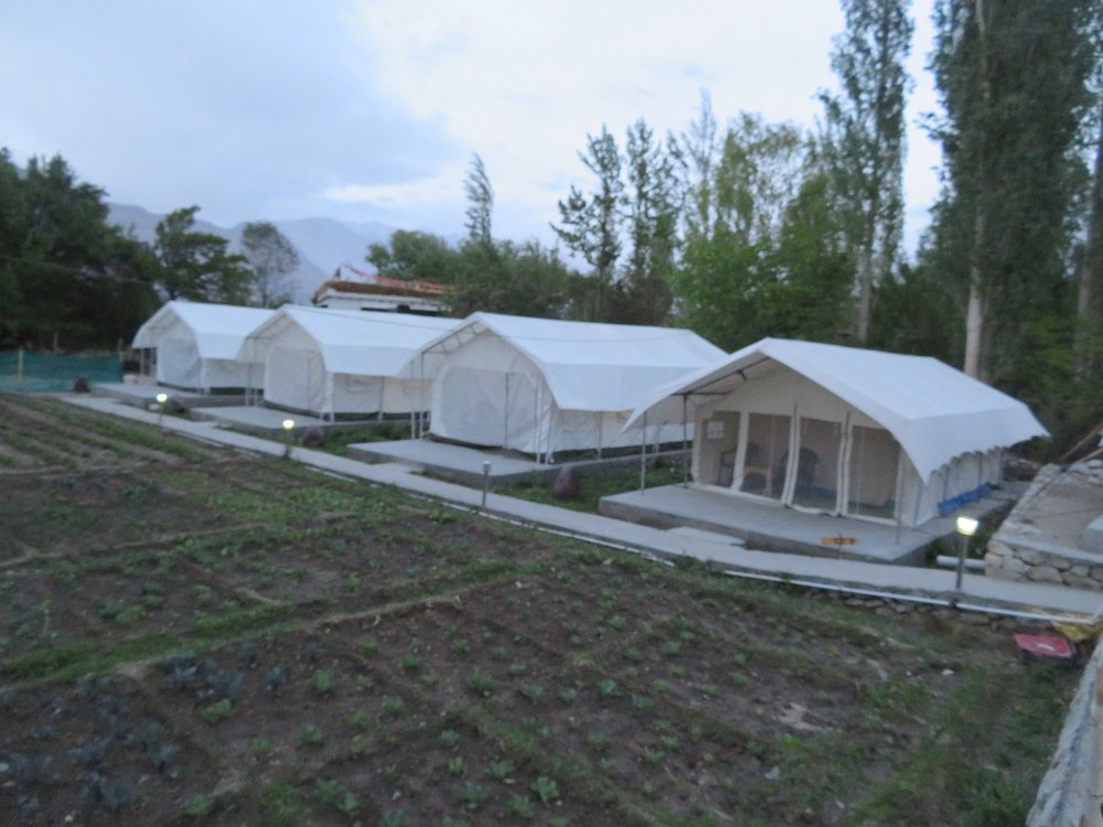 Apple Nubra Gallery - Resort View