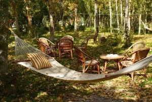 Apple Nubra-Nubra Valley