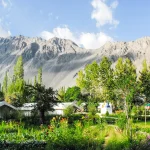 Apple Nubra- Leh Ladakh Tour Packages