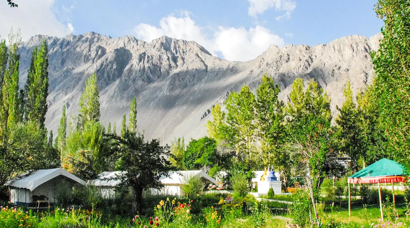 Exploring Ladakh’s Nubra Valley