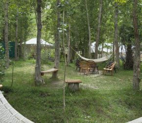 Luxury Rooms in Hunder – Apple Nubra Cottage, Nubra Valley