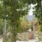 Luxury Rooms in Hunder – Apple Nubra Cottage, Nubra Valley