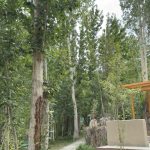 Luxury Rooms in Hunder – Apple Nubra Cottage, Nubra Valley
