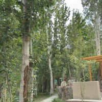 Luxury Rooms in Hunder – Apple Nubra Cottage, Nubra Valley